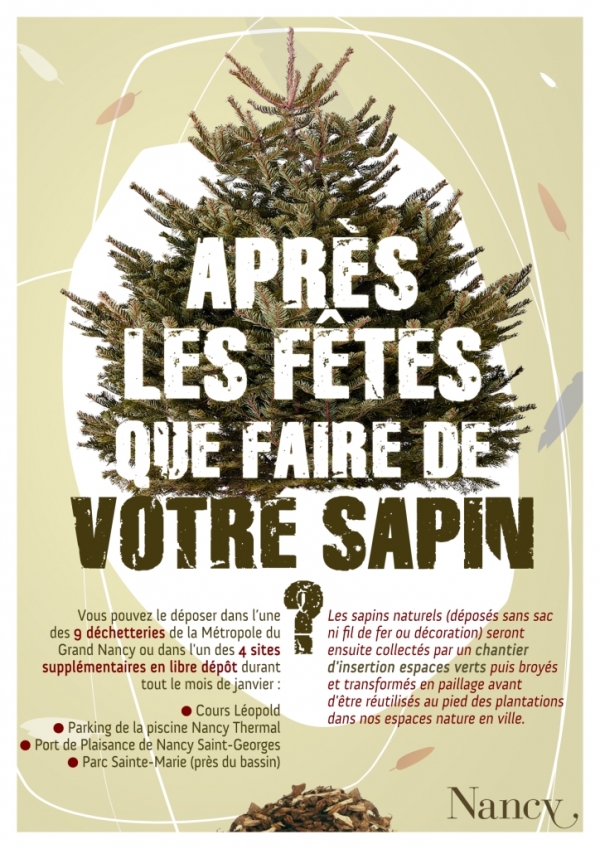 Nancy : après les fêtes, que faire de votre sapin ?