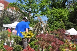 Nature en fête