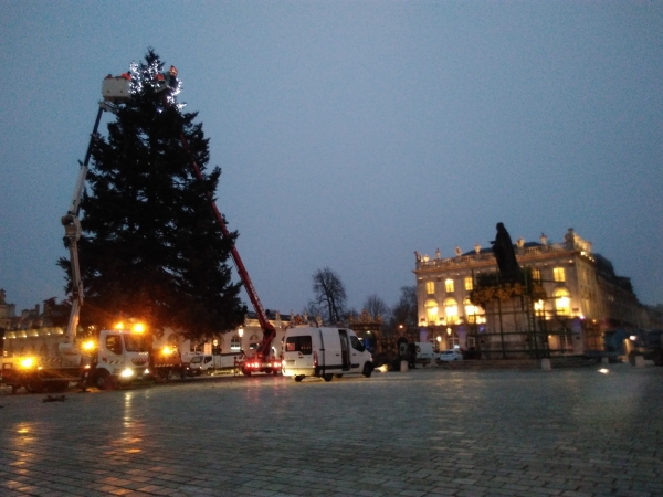 Nancy : le sapin arrive demain place Stanislas !